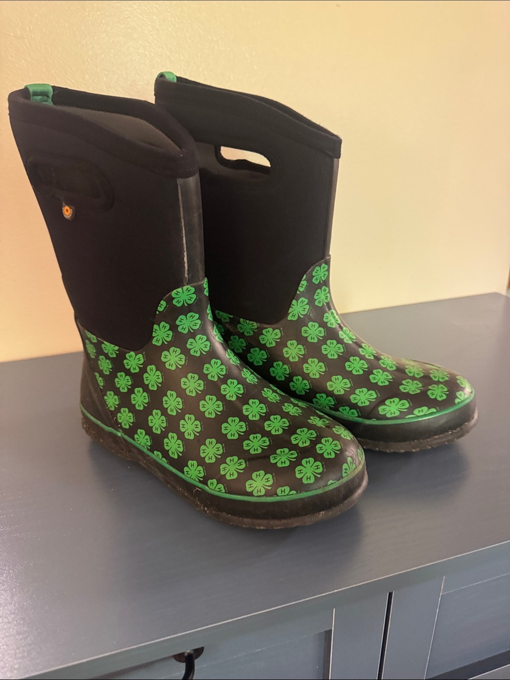 Bogs (Big) Boy Snow Boots